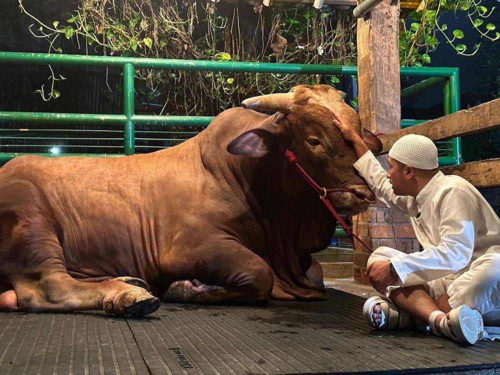 potret Irfan Hakim dan sapi kurban miliknya (instagram.com/irfanhakim75)
