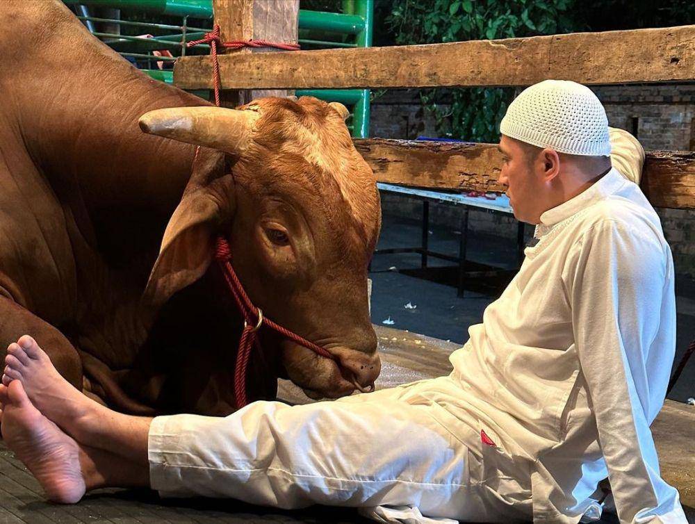 potret Irfan Hakim dan sapi kurban miliknya (instagram.com/irfanhakim75)