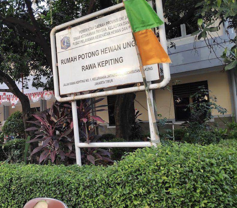 Rumah Potong Hewan Rawa Kepiting Pulogadung, Jakarta Timur (dok. Istimewa)
