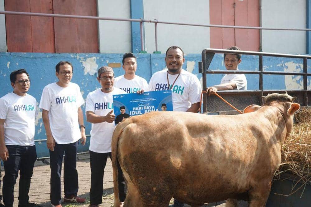 Sapi kurban yang disumbang Pelindo. (IDN Times/Dok Humas Pelindo Pelabuhan Tanjung Emas)