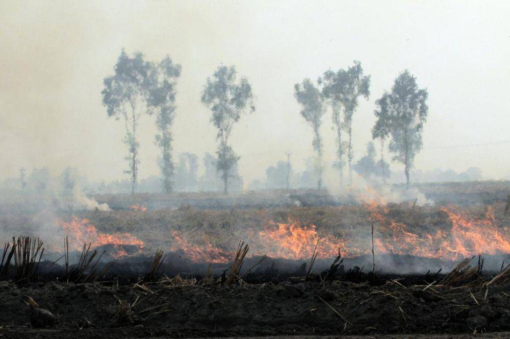 ilustrasi pembakaran lahan menyebabkan polusi udara (wikimedia.org/mrjohncummings)