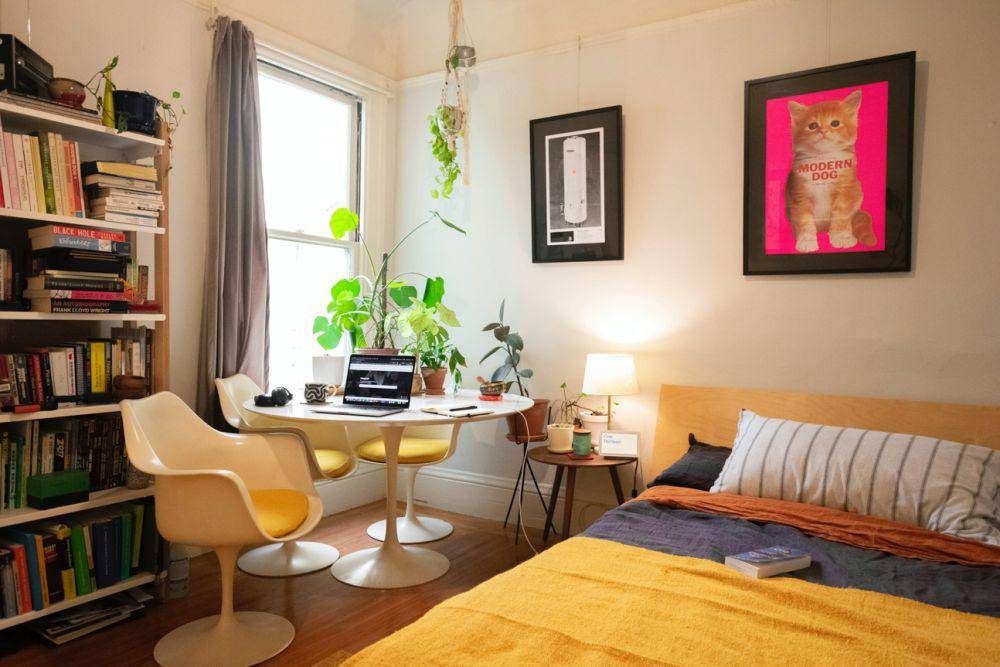 Menambah tanaman tropis di dalam kamar (Unsplash.com/Patrick Perkins)