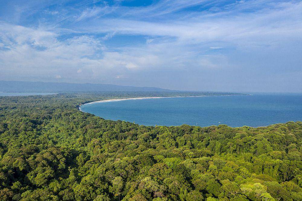 Taman Nasional Ujung Kulon (commons.wikimedia.org/Muhammad Adimaja)