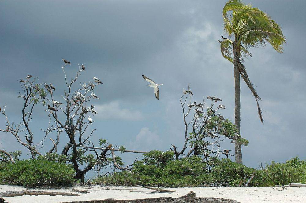 Tubbataha Reefs Natural Park (commons.wikimedia.org/Ron Van Oers)