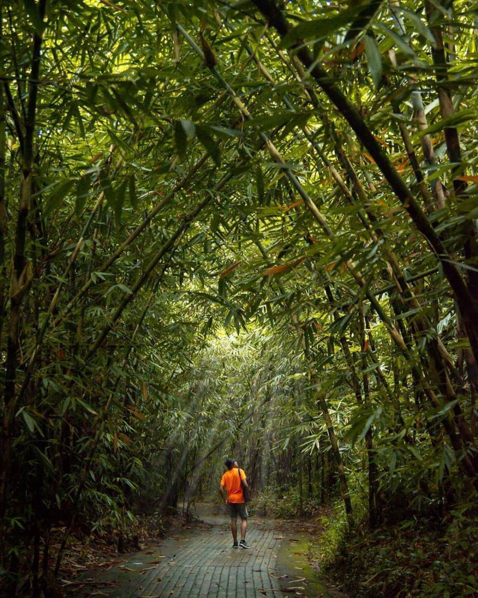 Tempat meditasi rekomendasi di Bali. (instagram/infodewata_id)