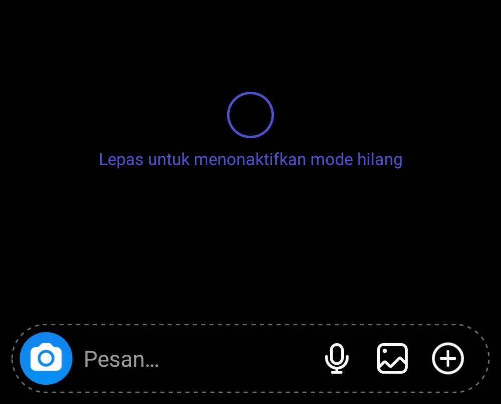 tangkapan layar Instagram (dok. Instagram)
