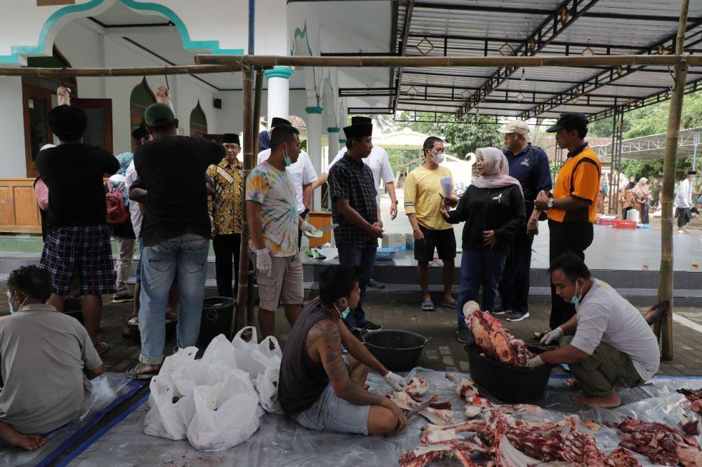 Jumlah Hewan Kurban di Sleman Turun Tahun Ini Imbas PMK