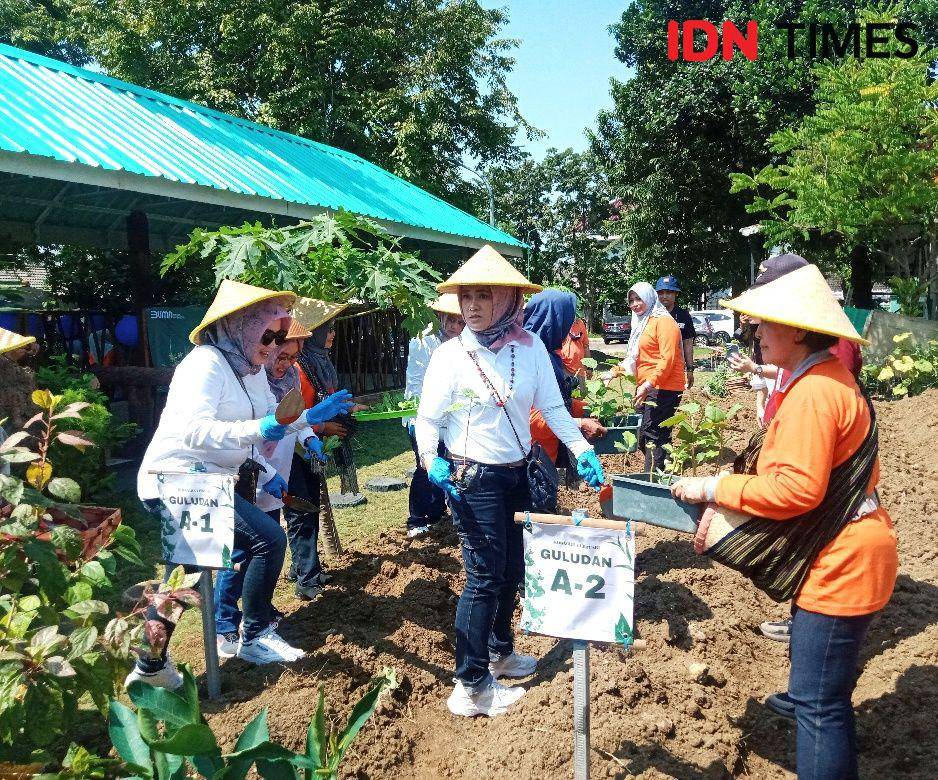 Anggota kelompok tani Kosagrha Lestari saat menanam bibit terong. IDN Times/Faiz Nashrillah
