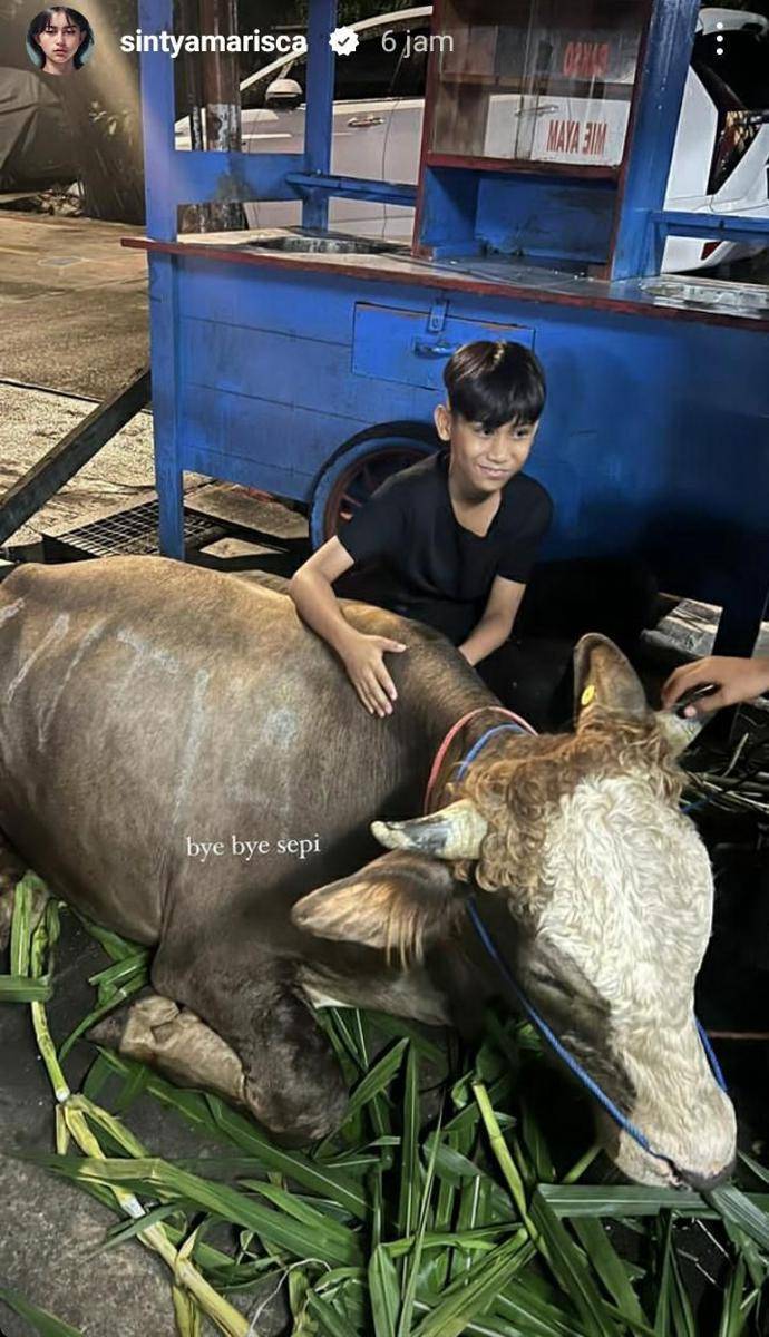 potret seleb dengan hewan kurban (instagram.com/sintyamarisca)