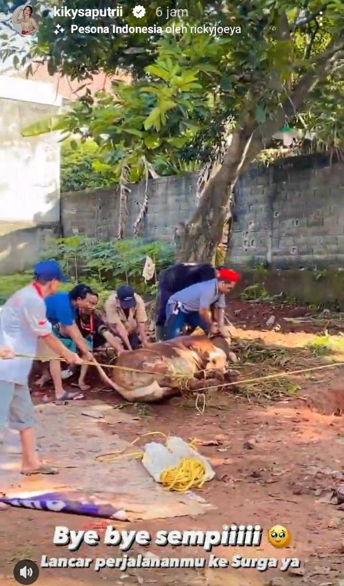 potret seleb dengan hewan kurban (instagram.com/kikysaputrii)
