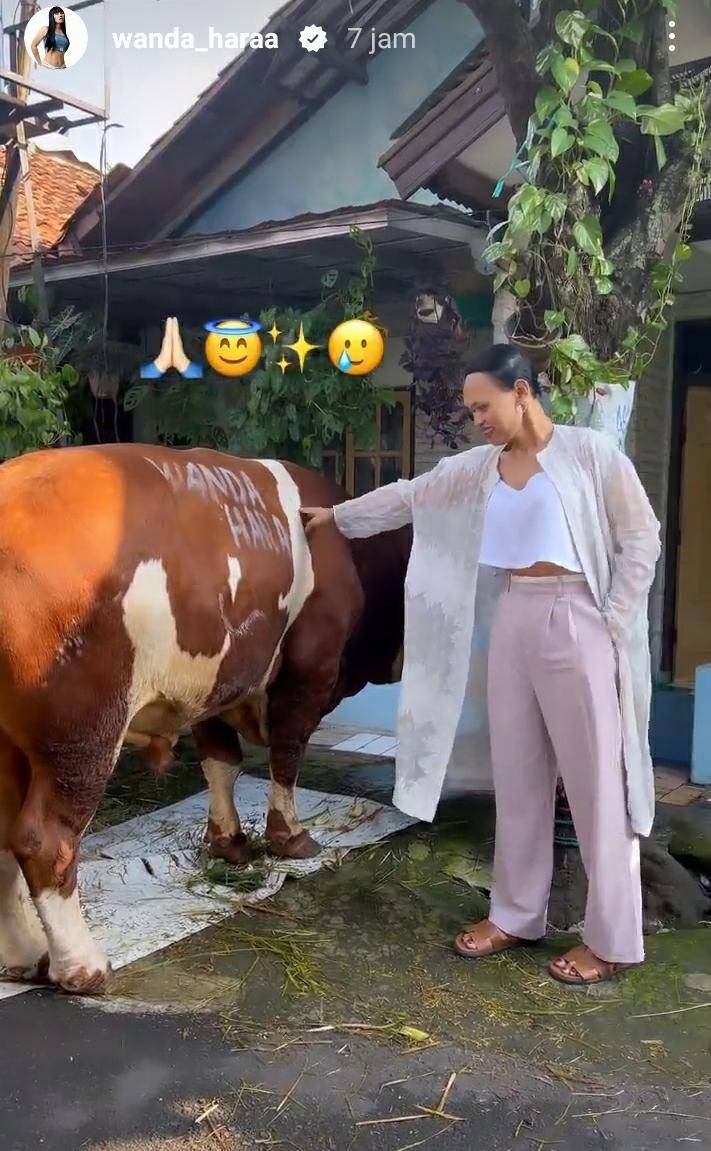 potret seleb dengan hewan kurban (instagram.com/wanda_haraa)