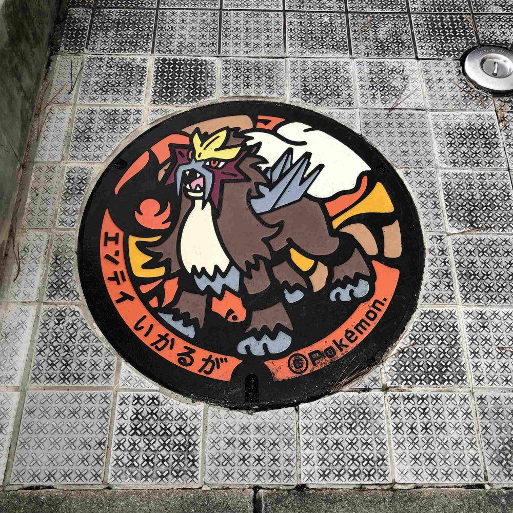 potret tutup lubang got desain Pokemon (reddit.com/user/dirtydumpsterdog)