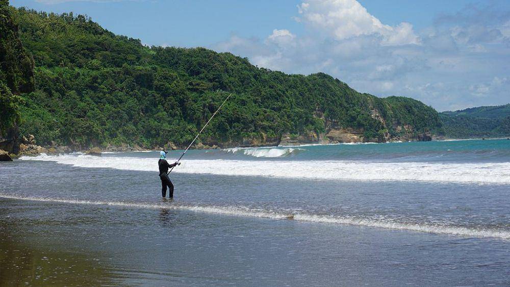 Pantai Sine (commons.wikimedia.org/Dianosaurus)