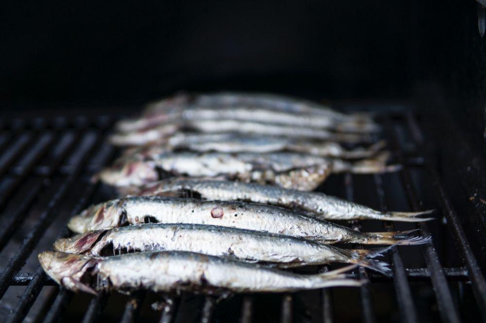 11 Manfaat Ikan Shisamo, Kecil-kecil tapi Khasiatnya Besar!