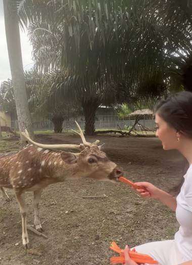 momen Idul Adha Raline Shah dan keluarga (instagram.com/ralineshah)