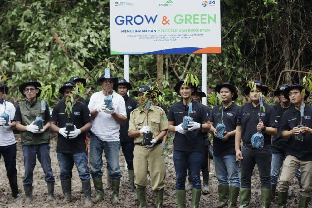 Program BRI Peduli menyalurkan 2.500 bibit tanaman durian ke petani di Berau, Kalimantan Timur. (dok. BRI)