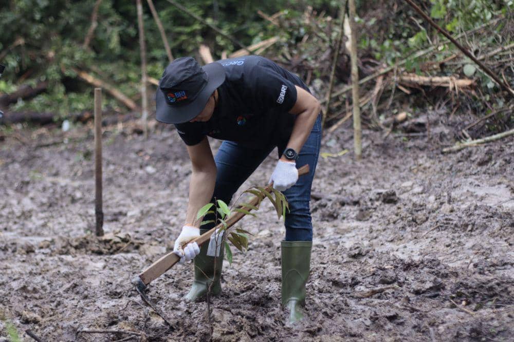 Program BRI Peduli menyalurkan 2.500 bibit tanaman durian ke petani di Berau, Kalimantan Timur. (dok. BRI)