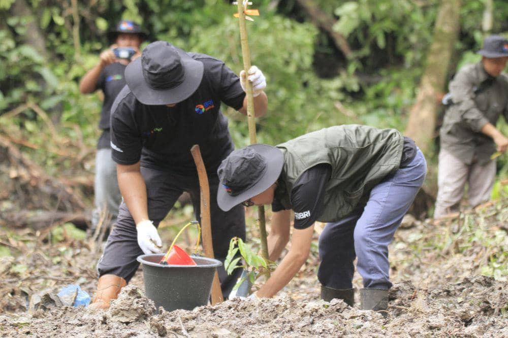 BRI Peduli Tanam 2.500 Bibit Durian untuk Penghijauan di Berau