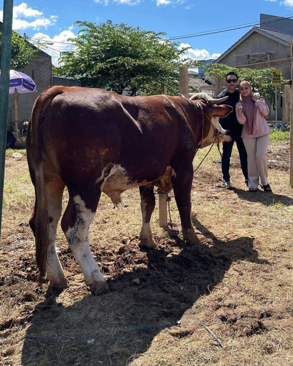 momen Jenita Janet dan Danu saat kurban sapi di momen Idul Adha 2023 (instagram.com/danu_sofwan)