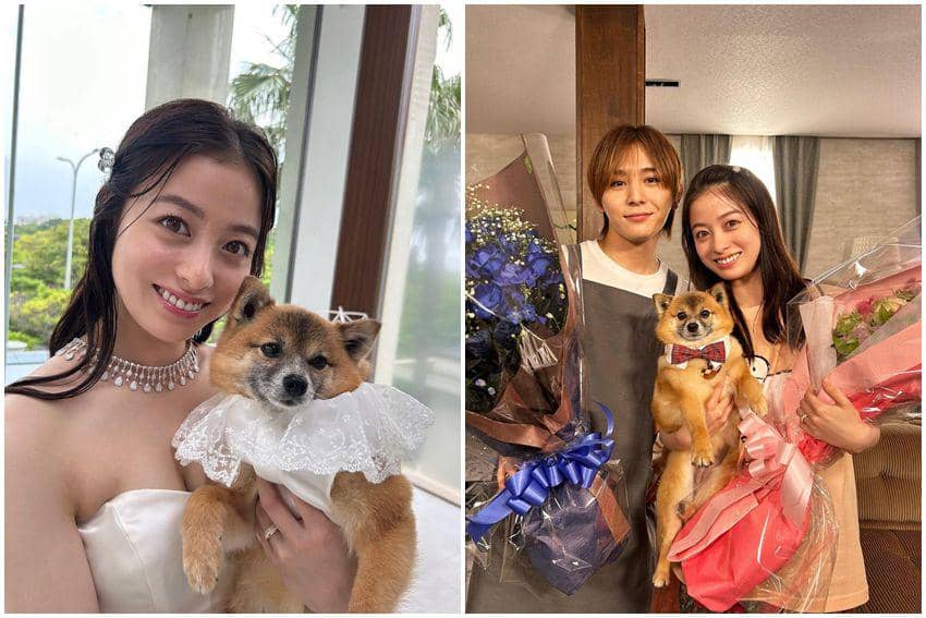 10 Potret Lucu Negi, Anjing di Ousama ni Sasagu Kusuriyubi