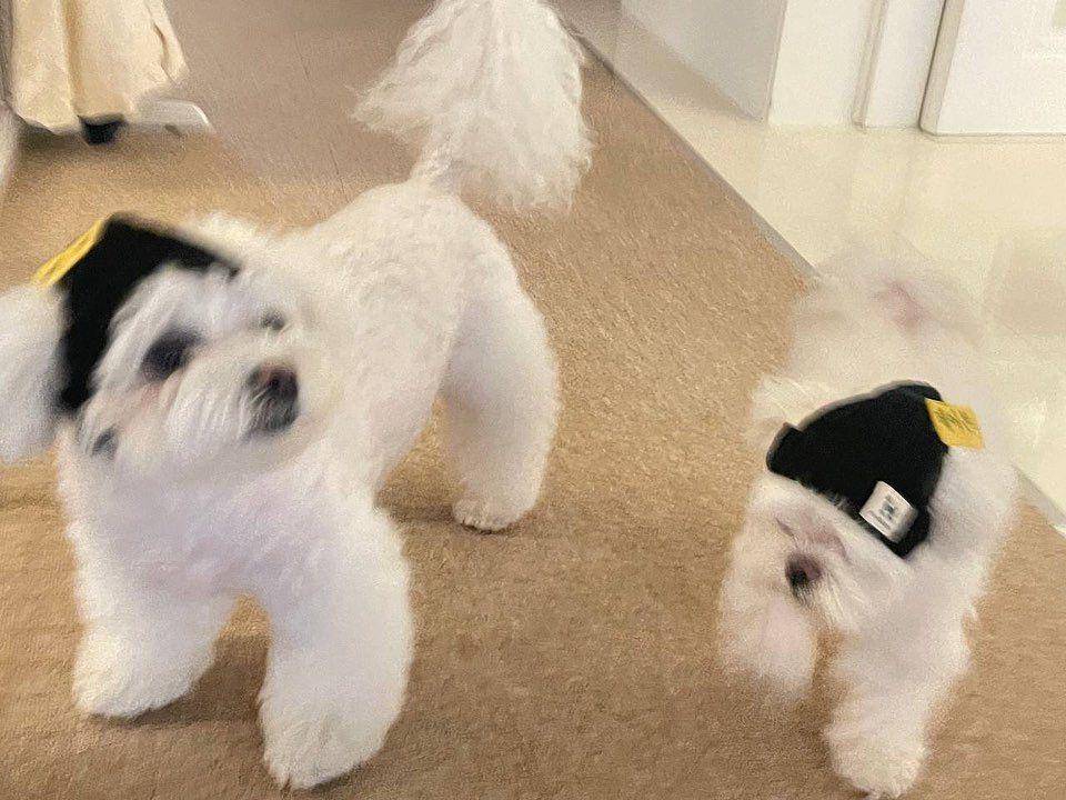 momen debut anniversary Suzy yang ke-13 (instagram.com/skuukzky)