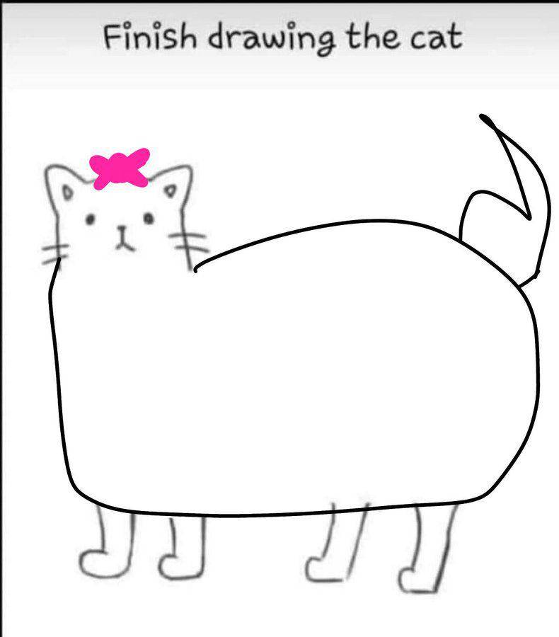 gambar kucing ala netizen (twitter.com/iamsannafanarg)