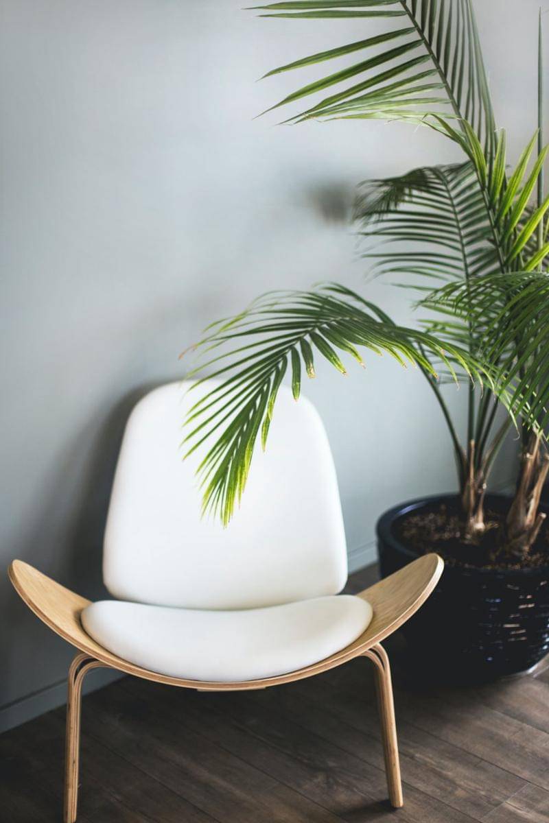 ilustrasi single chair (unsplash.com/Kari Shea)