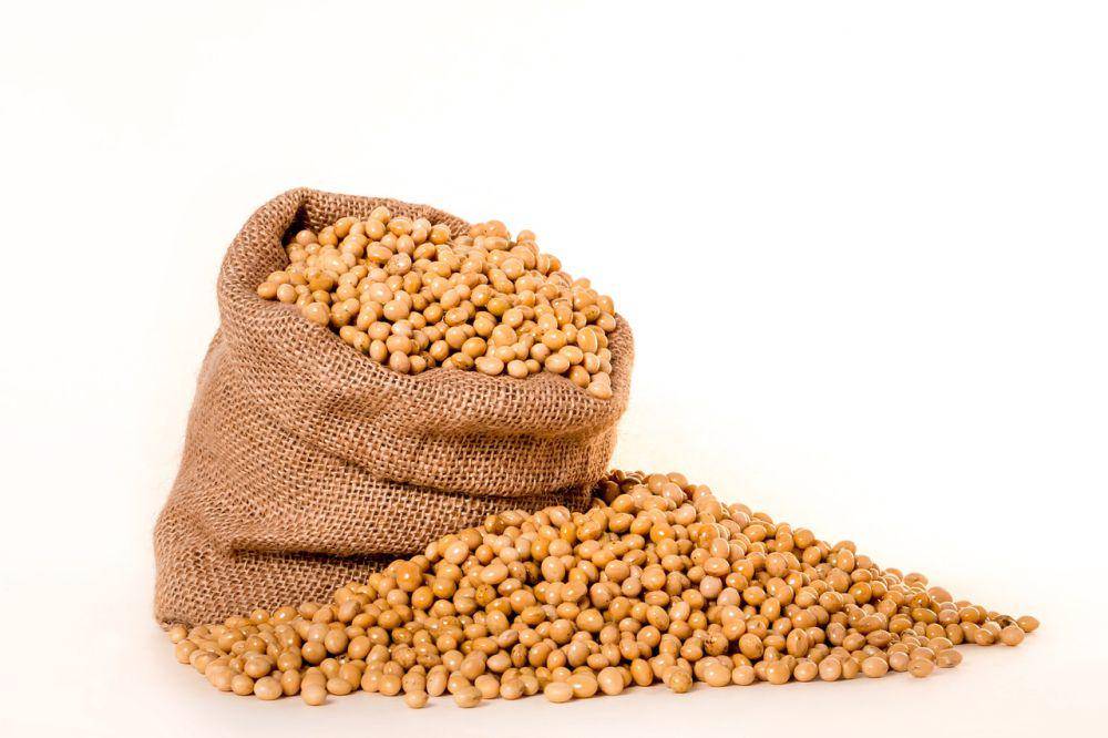 ilustrasi kacang kedelai (pixabay.com/pnmralex)