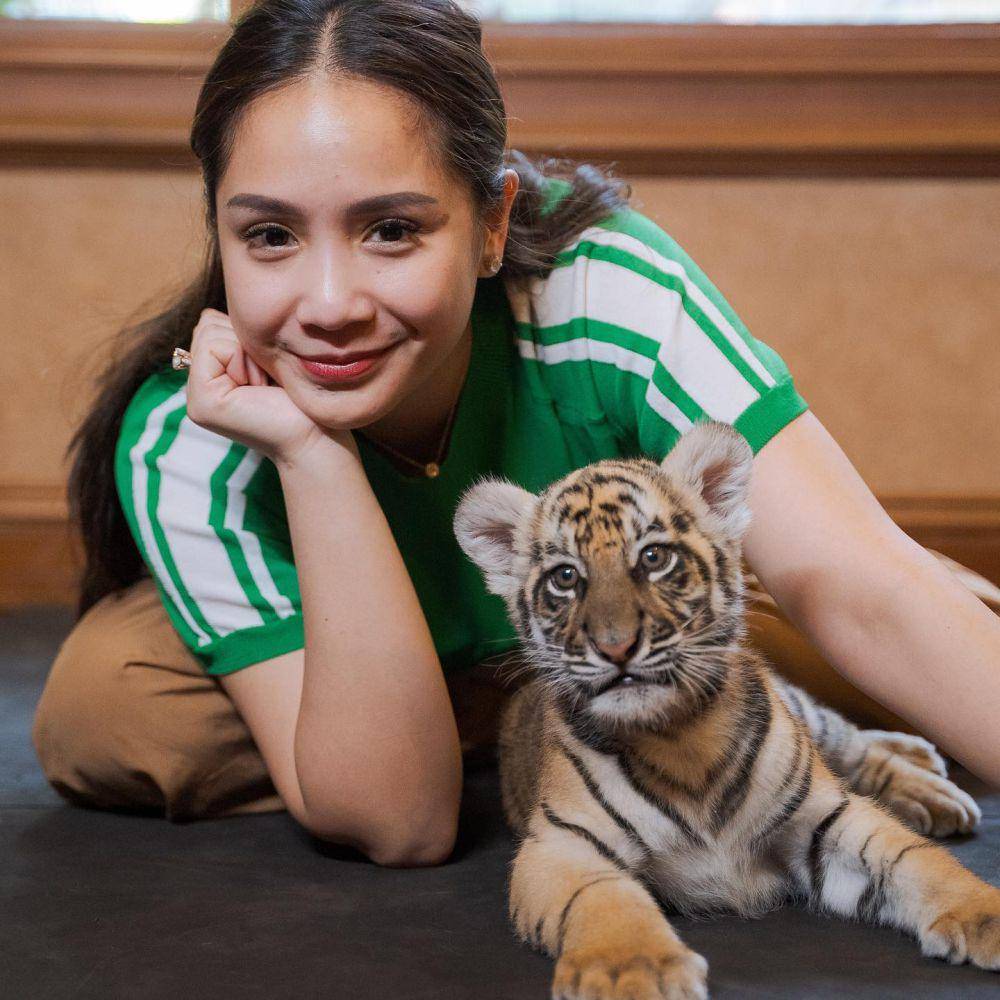 Nagita momong anak harimau (Instagram.com/raffinagita1717)