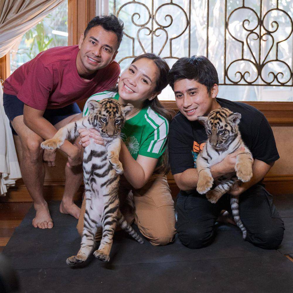 Nagita momong anak harimau (Instagram.com/raffinagita1717)