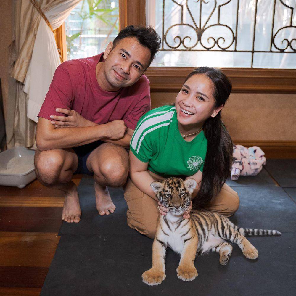 Nagita momong anak harimau (Instagram.com/raffinagita1717)