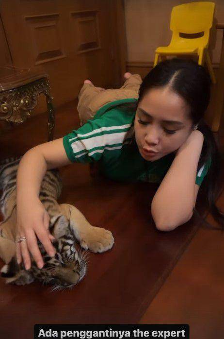 Nagita momong anak harimau (Instagram.com/alshadahmad)