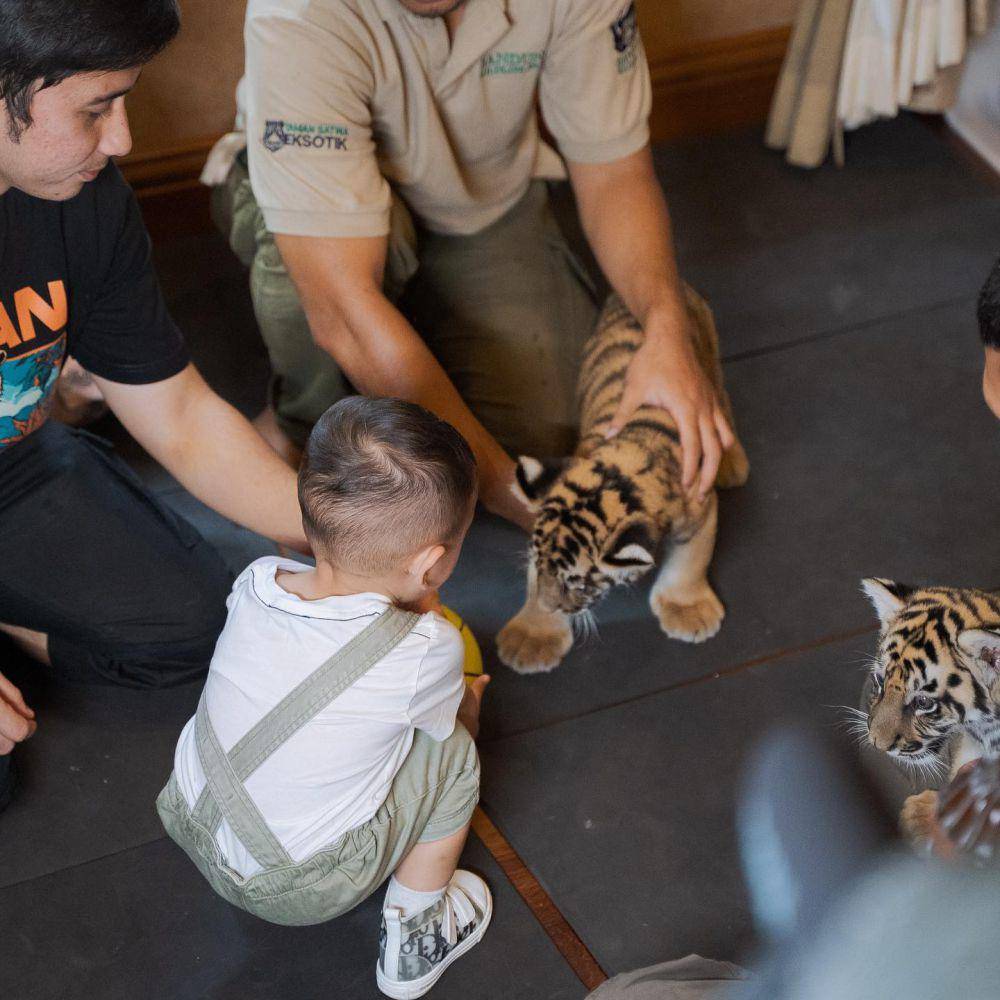 Nagita momong anak harimau (Instagram.com/raffinagita1717)
