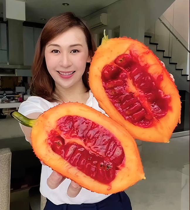 Potret buah gac (youtube.com/sibungbungchannel)