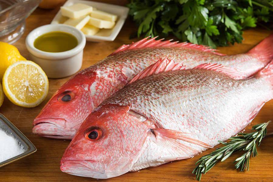 ikan kakap (wegotmeat.com)