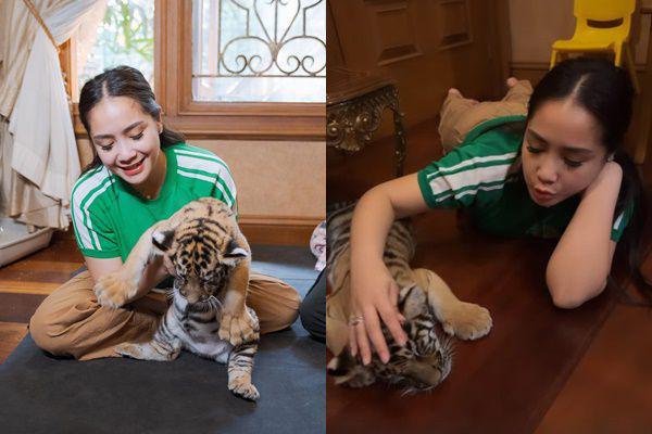 8 Potret Nagita Momong Anak Harimau Alshad, Cipung Ikut Nimbrung