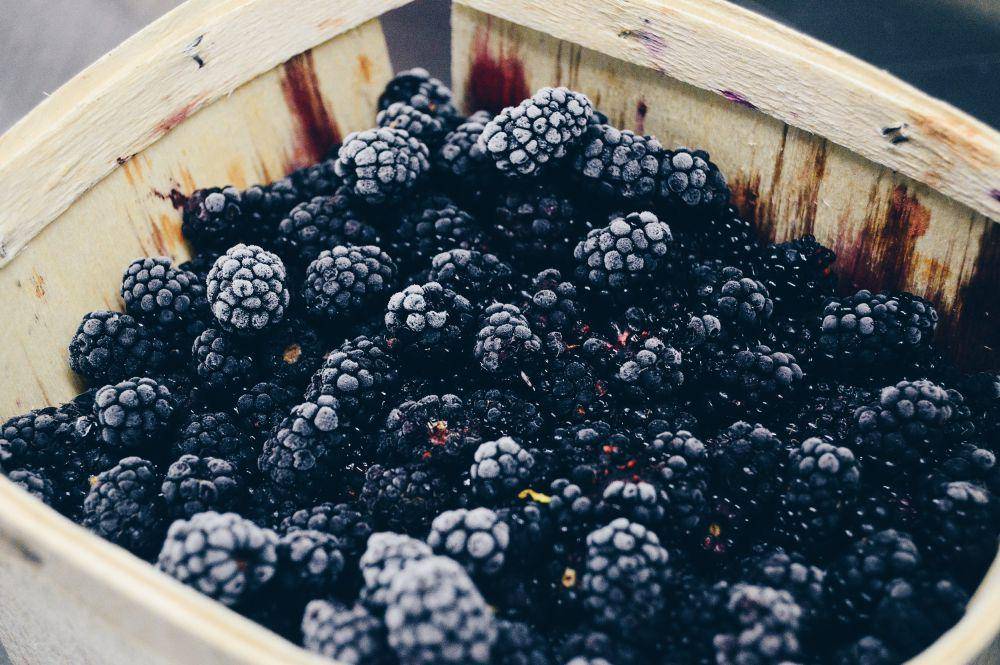 ilustrasi blackberry (unsplash.com/@nicksarr1)