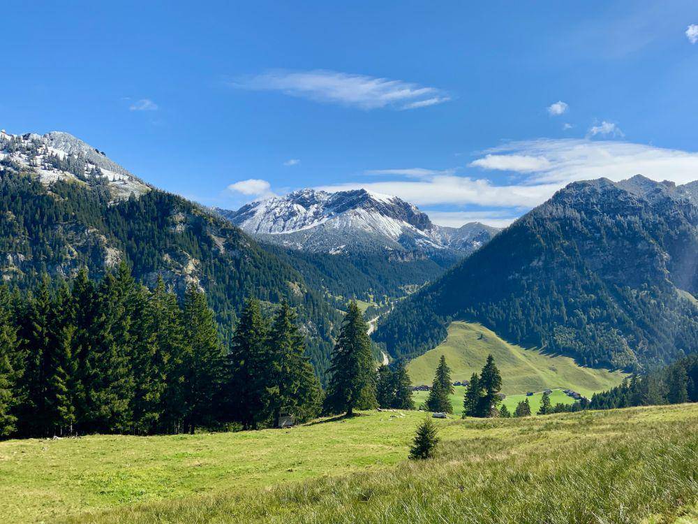 potret Pegunungan Alpen di Liechtenstein (unsplash.com/@vonmitczscha)