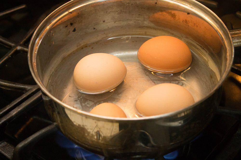ilustrasi merebus telur ayam (pixabay.com/lauryann)