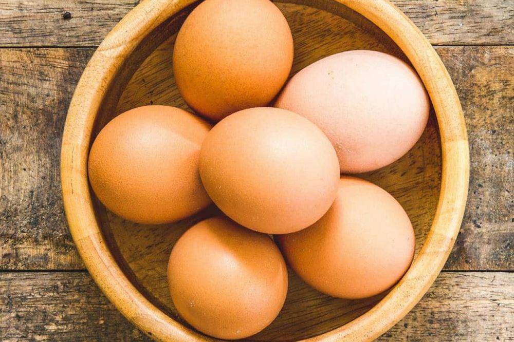 ilustarsi telur ayam (pixabay.com/GorilaCreativo)