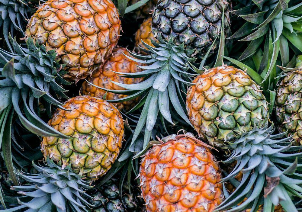 ilustrasi nanas (unsplash.com/@phienix_han)