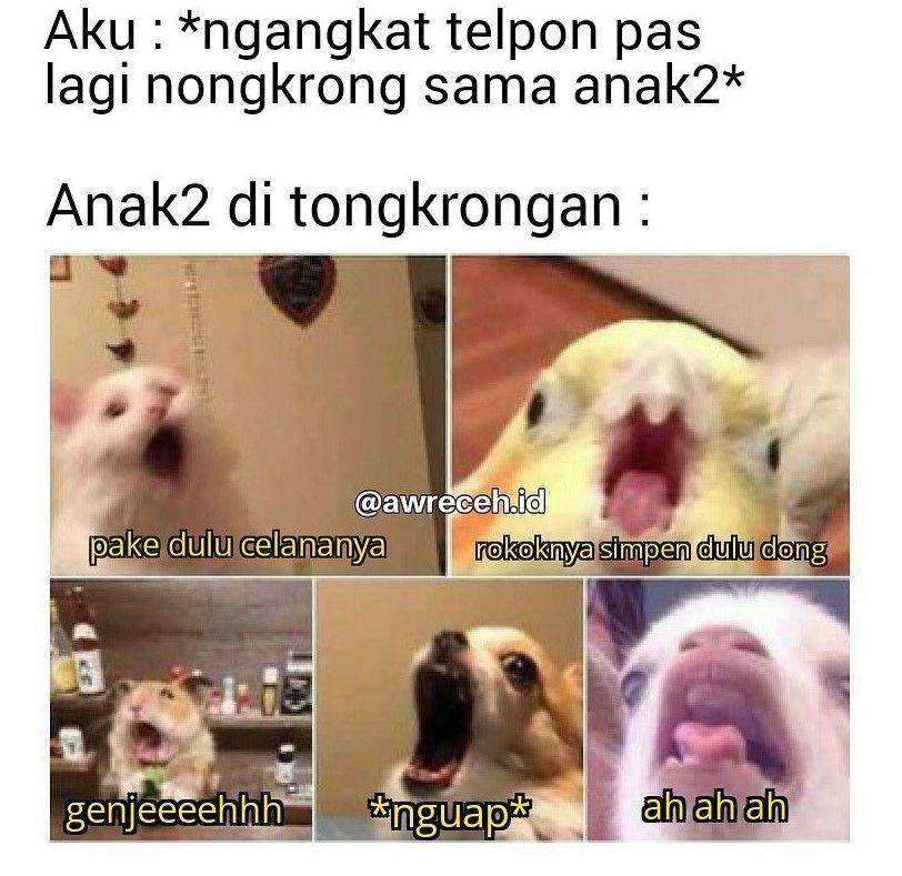 meme obrolan tongkrongan (instagram.com/awreceh.id)