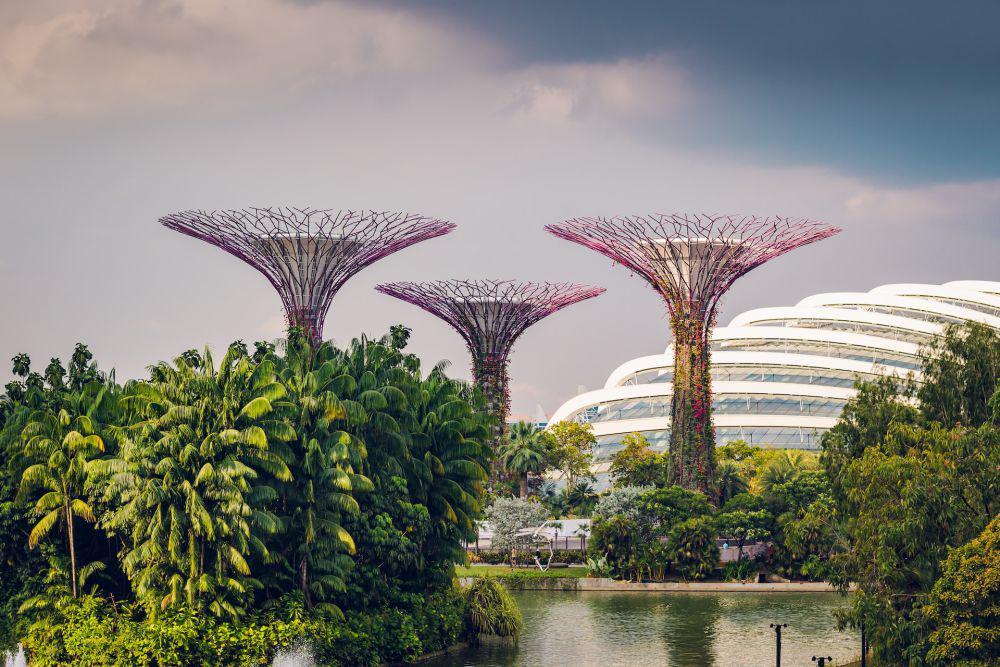 9 Taman Bunga Populer di Asia Tenggara, Surga bagi Pecinta Flora