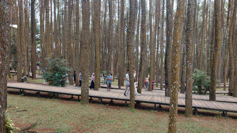 Kunjungan wisata ke destinasi wisata alam di Dlingo.(Dok.Koperasi Notowono)
