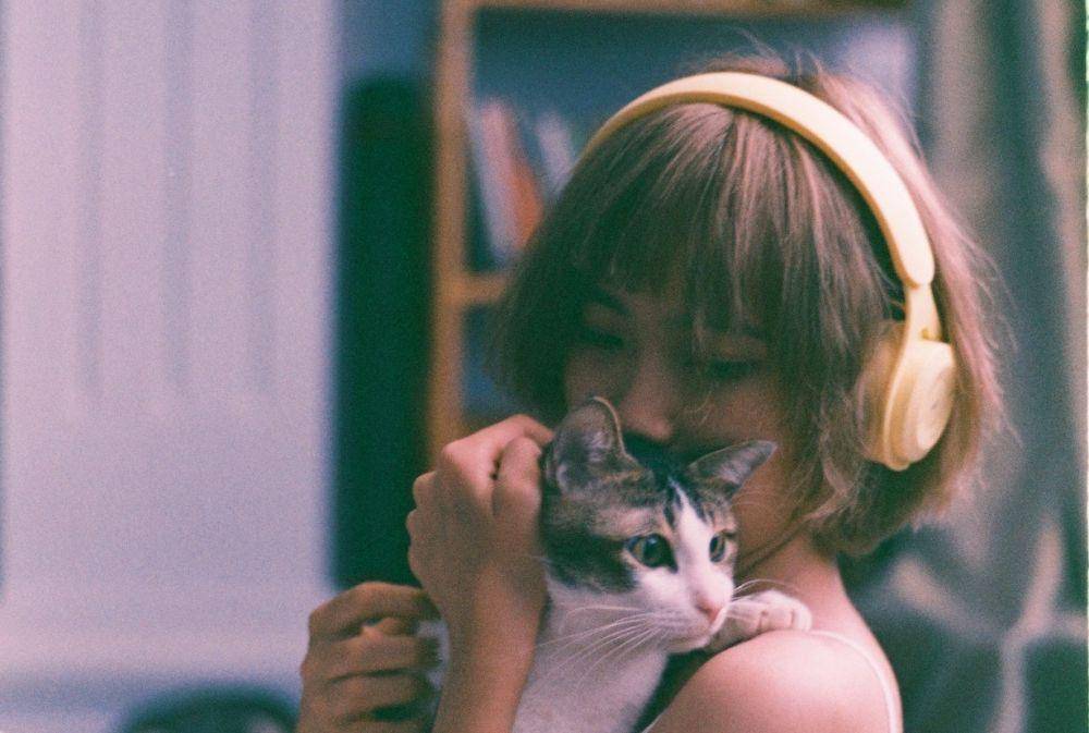 ilustrasi main dengan kucing (pexels.com/stayhereforu)