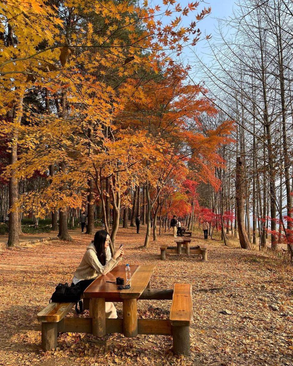 potret Han Jae In, pemeran Jin Chae Hee di real life (instagram.com/jaeinnhann)