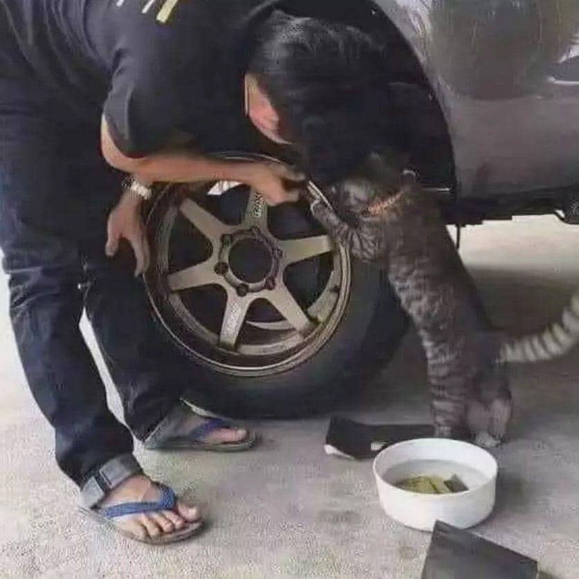 orang kerja gak biasa (instagram.com/mrci.id)