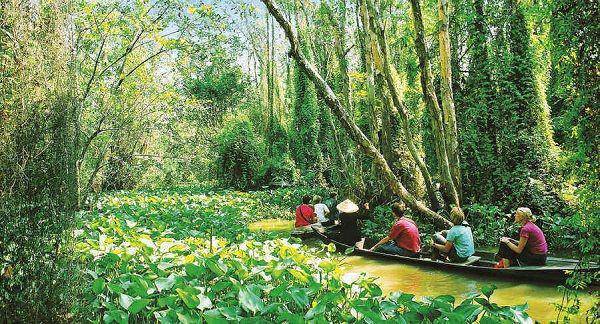 Hutan Xeo Quyt (vietfuntravel.com)