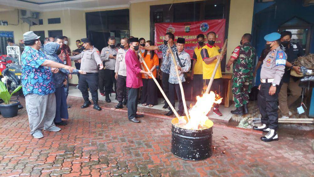 Polsek Bojongsari bersama unsur Muspika memusnahkan barang bukti ganja yang dikirim melalui ekspedisi. (Istimewa)