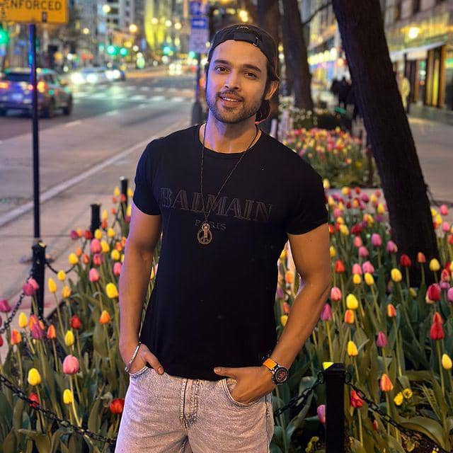 Parth Samthaan (instagram.com/the_parthsamthaan)